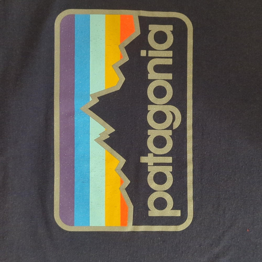 Dark blue Patagonia T-shirt mountain Fitz Roy sunset
